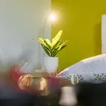 Aida Lejlighed Poreč