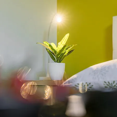 Aida شقة بوريتش